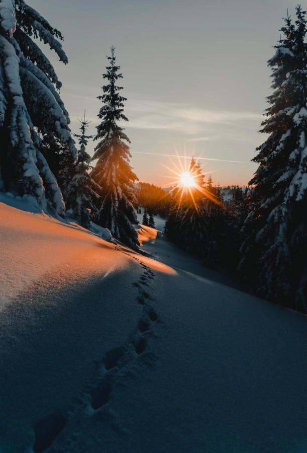 Apartmán B13 Tatran Donovaly Exteriér fotografie